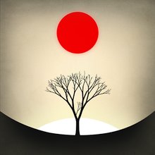 Prune v1.1.3 (MOD, неограниченно пропусков)