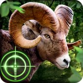 Дикий охотник - Wild Hunter 3D v1.0.11 (MOD, много денег)