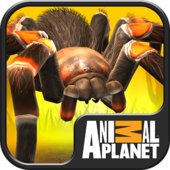 Real Scary Spiders v1.3.3 (MOD, unlimited coins)