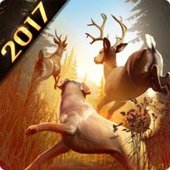 DEER HUNTER 2017 v4.2.0 (MOD, неограниченно золота)