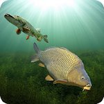 3DCARP v10.3