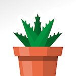 Terrarium: Garden Idle v1.19.1 (MOD, Free Shopping)