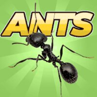 Pocket Ants v0.0621