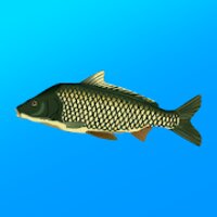 Реальная Рыбалка v1.16.0.759 (MOD, много денег)