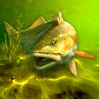 My Fishing World - Realistic fishing v1.15.109 (MOD, Free shopping)