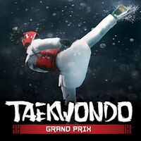 Taekwondo Grand Prix v2.2.16 (MOD, много денег)