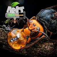 Ant Sim Tycoon v3.15 (MOD, много денег)